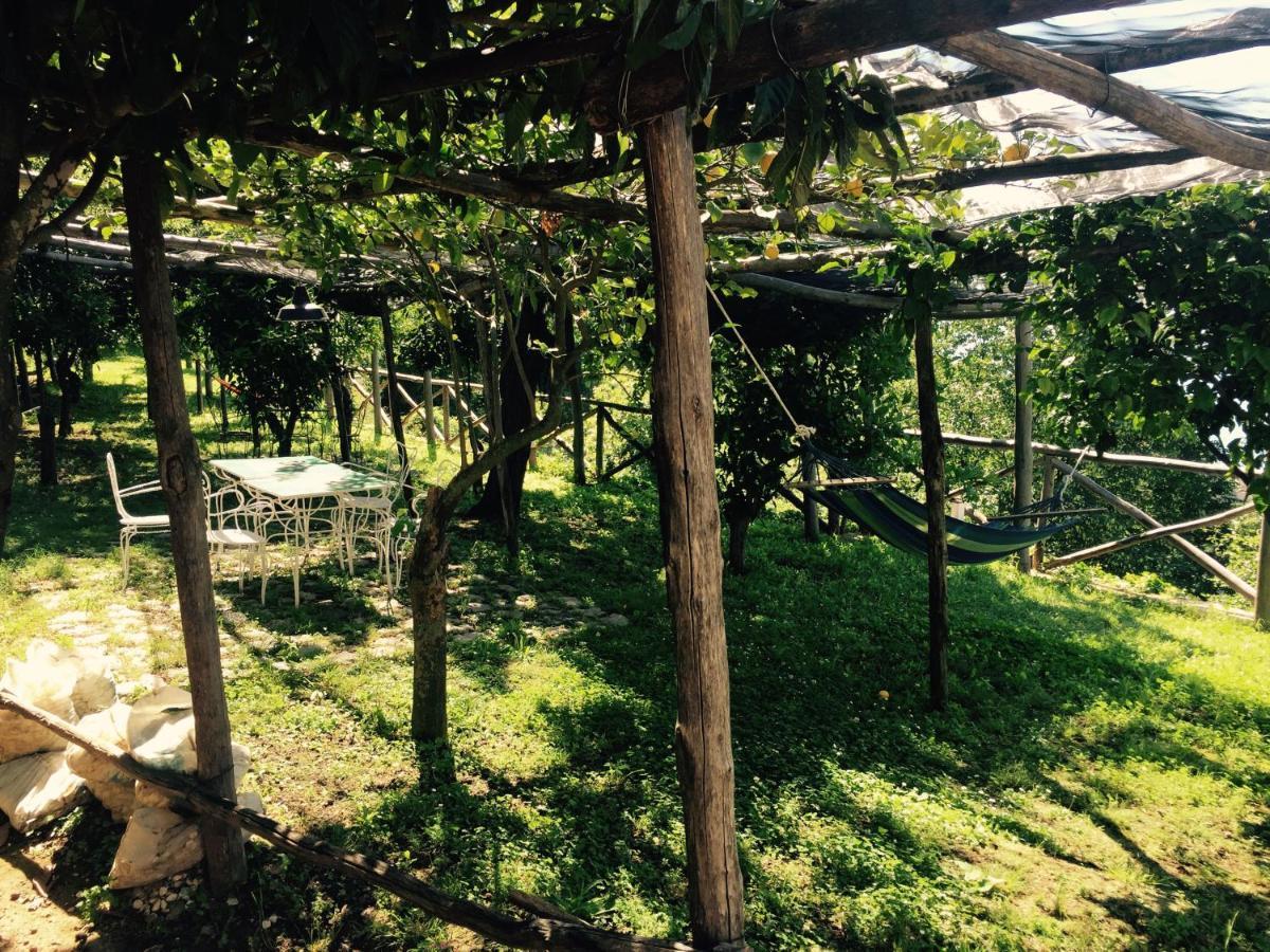 Casa Flora Acomodação com café da manhã Vietri Exterior foto