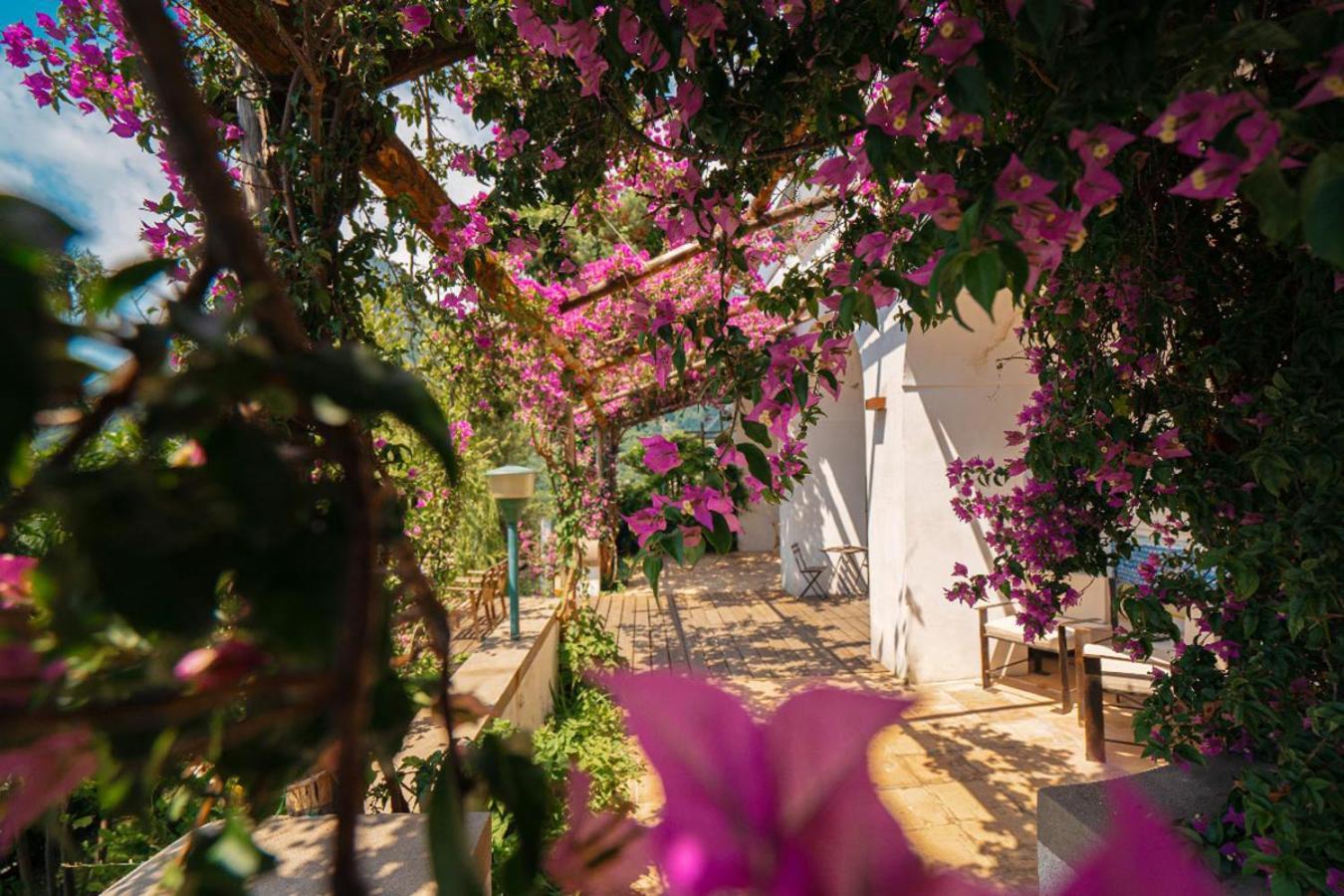 Casa Flora Acomodação com café da manhã Vietri Exterior foto